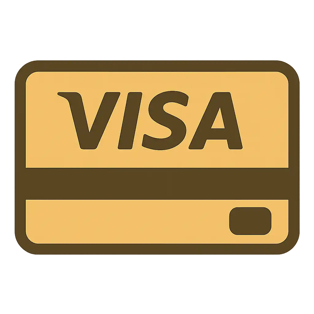 Visa card payment icon
